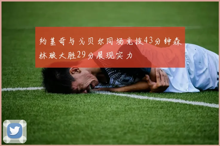 约基奇与戈贝尔同场竞技43分钟森林狼大胜29分展现实力