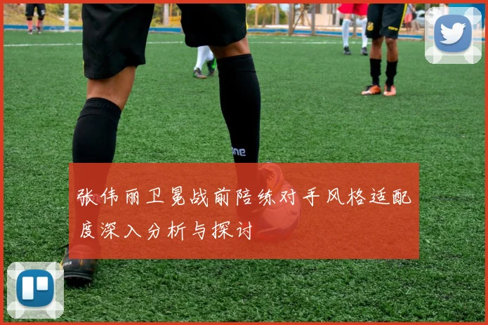 张伟丽卫冕战前陪练对手风格适配度深入分析与探讨