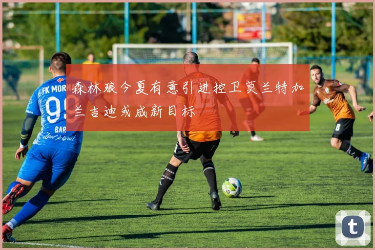 森林狼今夏有意引进控卫莫兰特加兰吉迪或成新目标
