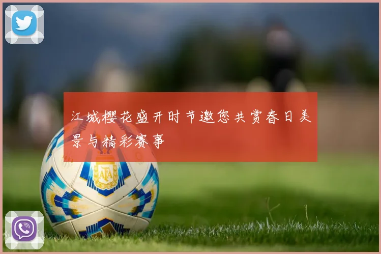 江城樱花盛开时节邀您共赏春日美景与精彩赛事